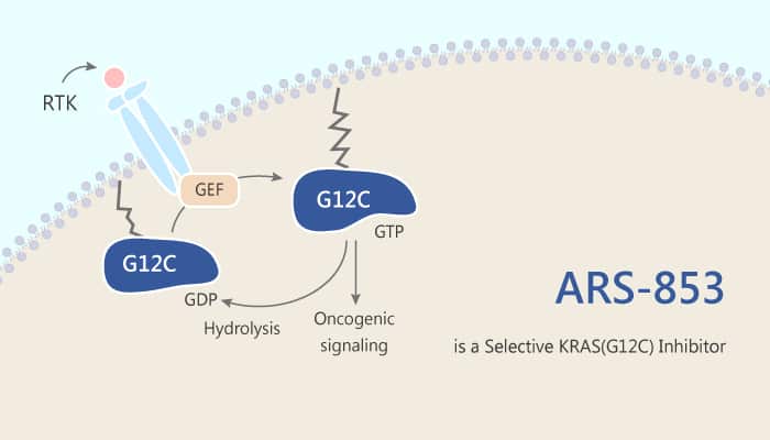ARS 853 is a Selective KRAS G12C Inhibitor 2019 07 18 - ARS-853 is a Selective KRAS (G12C) Inhibitor