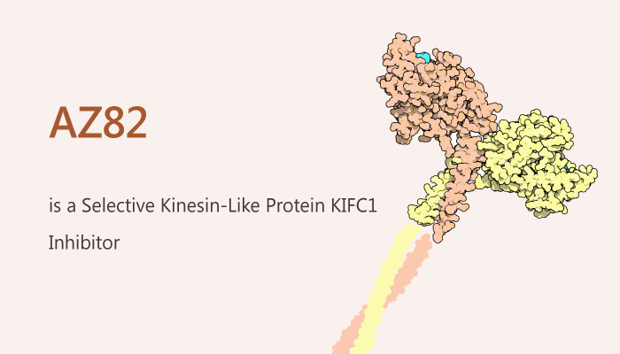 AZ82 is a Selective Kinesin Like Protein KIFC1 HSET Inhibitor 2019 07 01 - AZ82 is a Selective Kinesin-Like Protein KIFC1 (HSET/KIFC1) Inhibitor