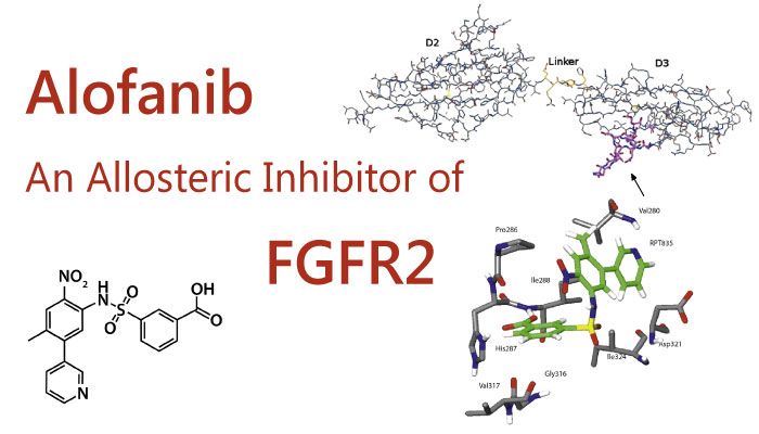 Alofinb - Alofanib, An Allosteric Inhibitor of FGFR2