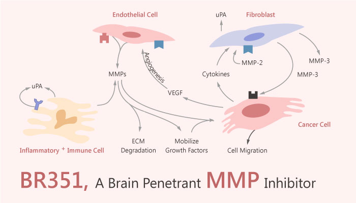 BR351 Brain Penetrant Matrix metalloproteinase MMP Inhibitor 2019 04 05 - BR351 is a Brain Penetrant MMP Inhibitor