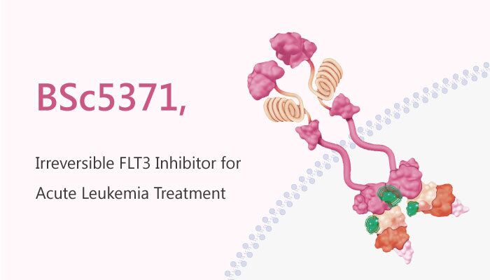 BSc5371 FLT3 Inhibitor Acute Leukemia Treatment 2019 05 07 - BSc5371, an Irreversible FLT3 Inhibitor for Acute Leukemia Treatment