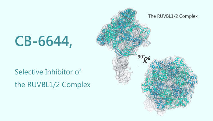 CB 6644 Inhibitor of the RUVBL12 Complex Acute leukemia 2019 05 01 - CB-6644 is an Inhibitor of the RUVBL1/2 Complex