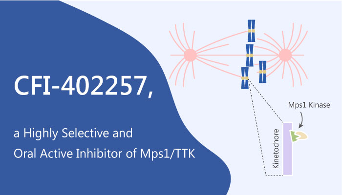 CFI 402257 a Highly Selective and Oral Active Inhibitor of Mps1 TTK 2019 05 29 - CFI-402257 is a Highly Selective and Orally Active Inhibitor of Mps1/TTK