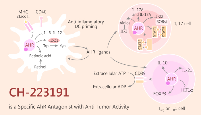 CH 223191 is a Specific Antagonist of Aryl Hydrocarbon Receptor AhR with Anti Tumor Activity 2019 07 02 - CH-223191 is a Specific Antagonist of Aryl Hydrocarbon Receptor (AhR) with Anti-Tumor Activity