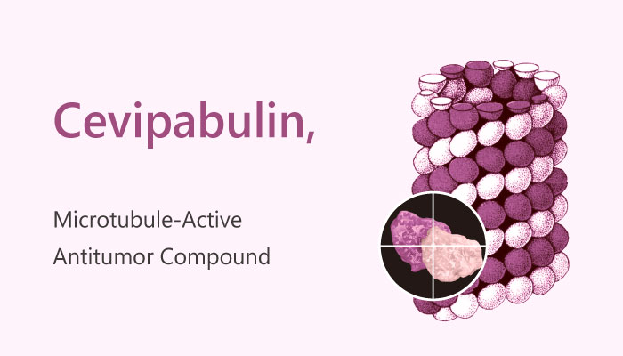 Cevipabulin Microtubule Active Antitumor Compound 2019 04 23 - Cevipabulin (TTI-237) is a Microtubule-Active Antitumor Compound
