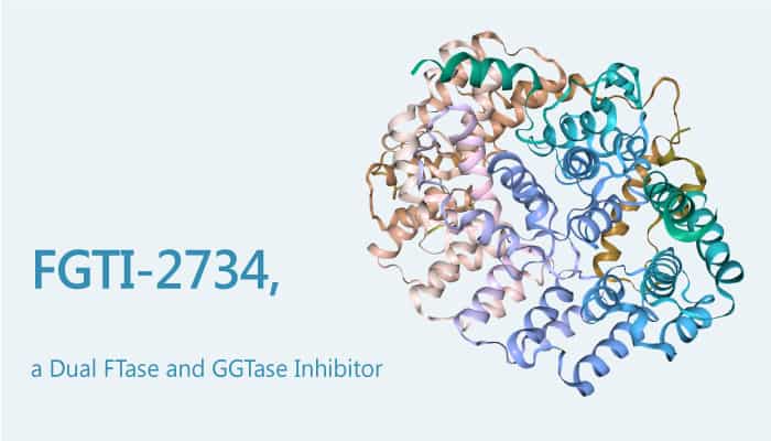 FGTI 2734 a Dual FTase and GGTase Inhibitor Has Potential to Treat KRAS mutant Cancer 2019 07 24 - FGTI-2734, a Dual FTase and GGTase Inhibitor, Has Potential to Treat KRAS-mutant Cancer
