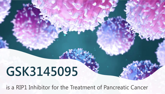 GSK3145095 is a RIP1 Kinase Inhibitor for the Treatment of Pancreatic Cancer 2019 06 06 - GSK3145095 is a RIP1 Kinase Inhibitor for the Treatment of Pancreatic Cancer