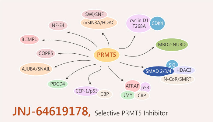 JNJ 64619178 PRMT5 Inhibitor Lung Cancer 2019 04 22 - JNJ-64619178 is a Selective PRMT5 Inhibitor with Potent Activity In Lung Cancer