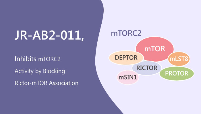 JR AB2 011 Inhibitor of mTORC2 Activity in Glioblastoma Multiform GBM 2019 05 13 - JR-AB2-011, a Potential Inhibitor of mTORC2 Activity in Glioblastoma Multiforme (GBM)