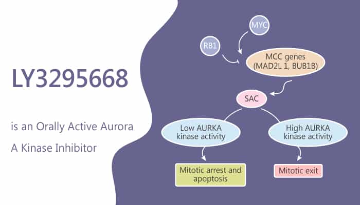 LY3295668 is an Orally Active Aurora A kinase Inhibitor 2019 07 06 - LY3295668 is an Orally Active Aurora-A kinase Inhibitor