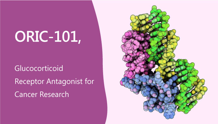 ORIC 101 Potent Steroidal Glucocorticoid Receptor Antagonist Cancer Research 2019 05 23 - ORIC-101, a Potent Steroidal Glucocorticoid Receptor Antagonist for Cancer Research