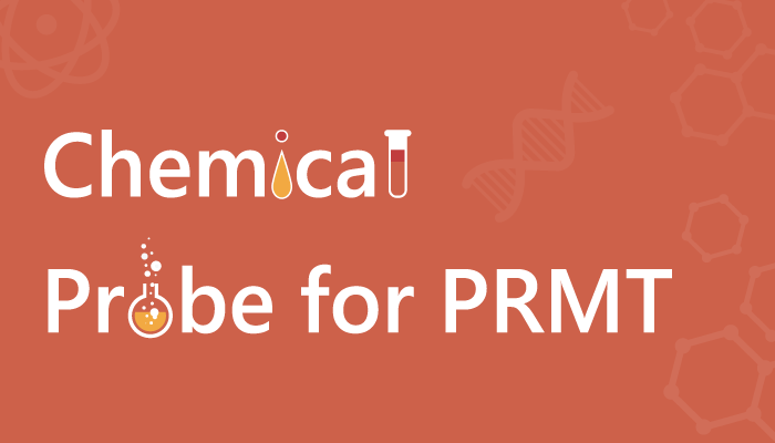 PRMT Probe - Role of PRMT7 Probe SGC3027 in Cancer