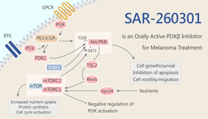 SAR 260301 is an Orally Active PI3Kβ Inhibitor for Melanoma Treatment 2019 07 23 - SAR-260301 is an Orally Active PI3Kβ Inhibitor for Melanoma Treatment