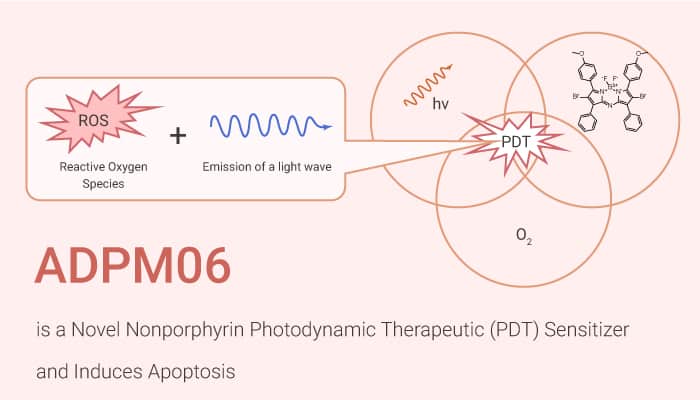 ADPM06 is a Novel Nonporphyrin Photodynamic Therapeutic PDT Sensitizer and Induces Apoptosis 2020 12 05 - ADPM06 is a Novel Nonporphyrin Photodynamic Therapeutic (PDT) Sensitizer and Induces Apoptosis