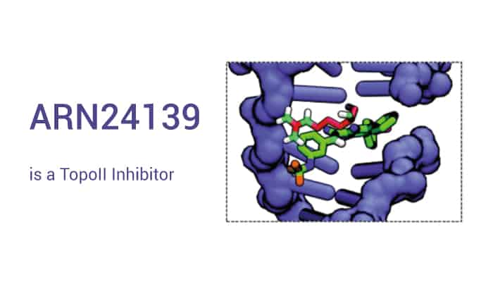 ARN24139 is a TopoII Inhibitor 2023 0223 - ARN24139 is a TopoII Inhibitor with Promising Antiproliferative Activity