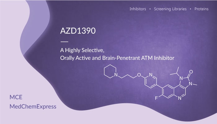 AZD1390 is a Highly Selective Orally Active and Brain Penetrant ATM Inhibitor 2021 12 15 - AZD1390 is a Highly Selective, Orally Active and Brain-Penetrant ATM Inhibitor