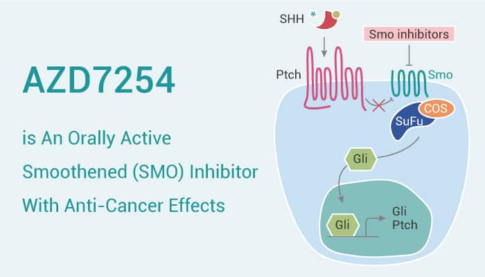 AZD7254 is a Smo Inhibitor 0707 - AZD7254 is An Orally Active Smoothened (SMO) Inhibitor With Anti-Cancer Effects