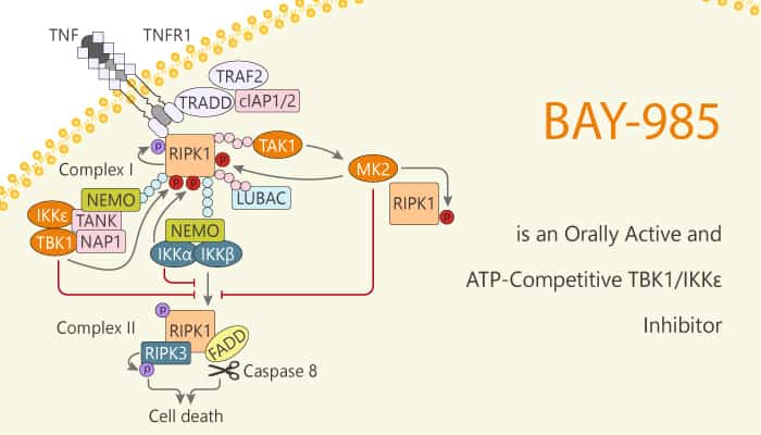 BAY 985 is an Orally Active and ATP Competitive TBK1 IKKε Inhibitor 2020 02 22 - BAY-985 is an Orally Active and ATP-Competitive TBK1/IKKε  Inhibitor