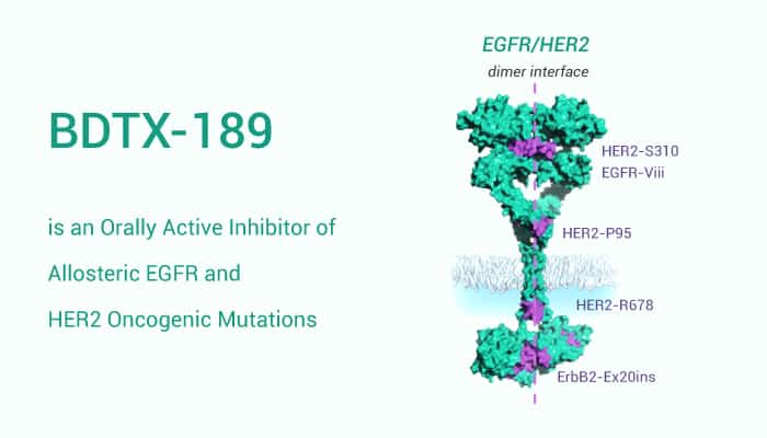 BDTX 189 is an Orally Active Inhibitor of Allosteric EGFR and HER2 Oncogenic Mutations 2021 02 08 - BDTX-189 is an Orally Active Inhibitor of Allosteric EGFR and HER2 Oncogenic Mutations
