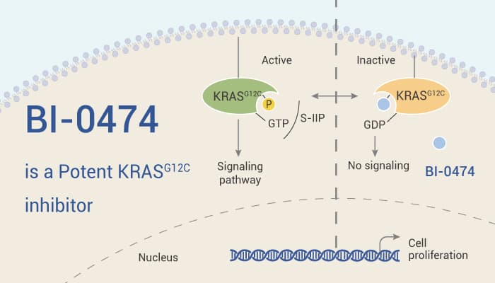 BI 0474 is An KRAS G12C InhIBTOR 2022 1113 - BI-0474 is a Potent KRAS G12C inhibitor