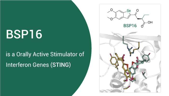 BSP16 is An Sting Stimulator 2022 0927 - BSP16 is an Orally Active Stimulator of Interferon Genes (STING)