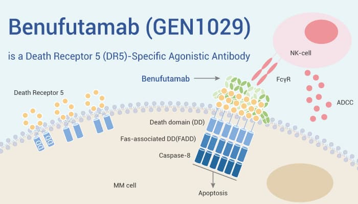 Benufutamab is An DR5 antibody 2023 0110 - Benufutamab (GEN1029) is a DR5-Specific Agonistic Antibody for Solid Tumor Research