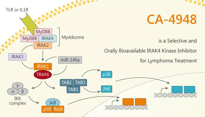 CA 4948 is a Selective and Orally BioavailableI RAK4 Kinase Inhibitor for Lymphoma Treatment 2020 01 05 1 - CA-4948 is a Selective and Orally Bioavailable IRAK4 Kinase Inhibitor for Lymphoma Treatment