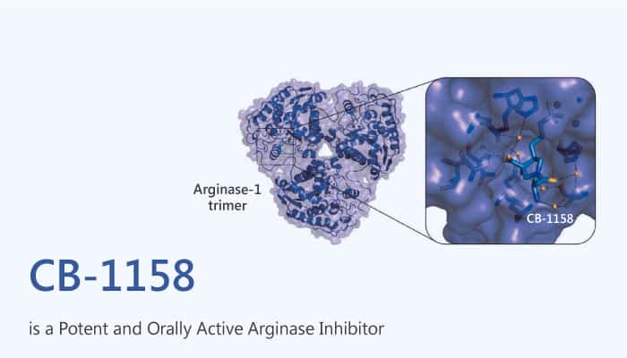 CB 1158 is a Potent and Orally Active Arginase Inhibitor 2020 10 01 - CB-1158 is a Potent and Orally Active Arginase Inhibitor
