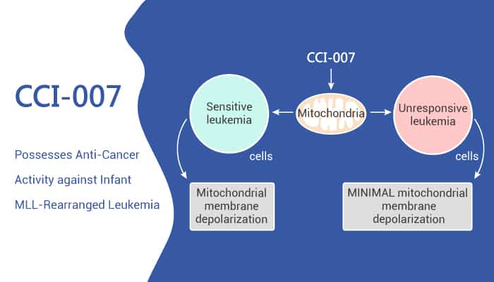 CCI 007 Possesses Anti Cancer Activity against Infant MLL Rearranged Leukemia 2021 06 22 - CCI-007 Possesses Anti-Cancer Activity against Infant MLL-Rearranged Leukemia