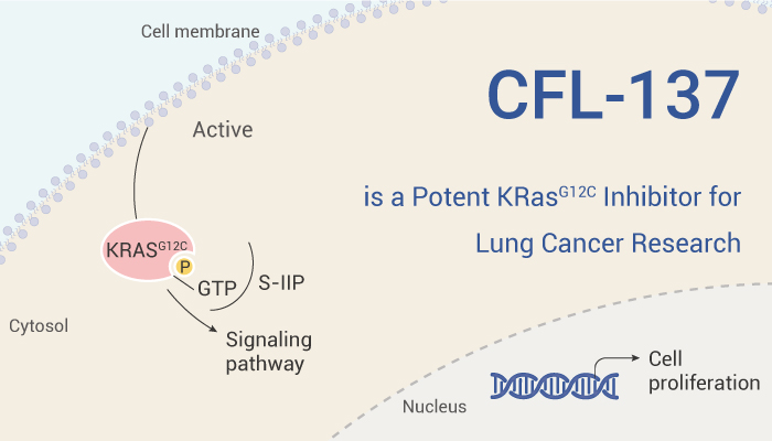 CFL 137 is A KRas inhibitor 2023 0519 - CFL-137 is a Potent KRasG12C Inhibitor for Lung Cancer Research
