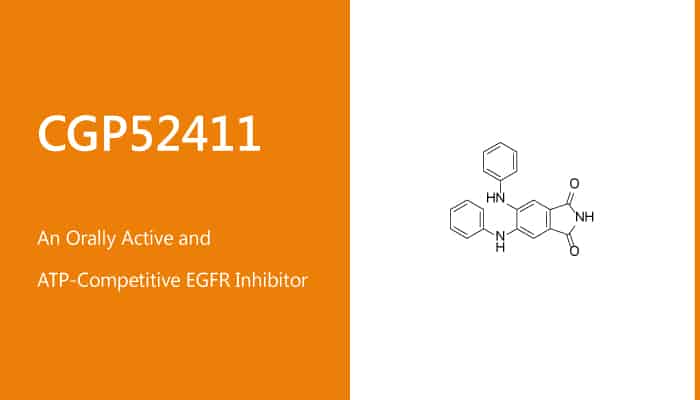 CGP52411 is an Orally Active and ATP Competitive EGFR Inhibitor 2020 01 19 - CGP52411 is an Orally Active and ATP-Competitive EGFR Inhibitor