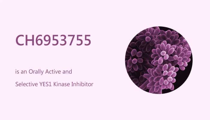 CH6953755 is an Orally Active and Selective YES1 Kinase Inhibitor 2019 01 02 - CH6953755 is an Orally Active and Selective YES1 Kinase Inhibitor