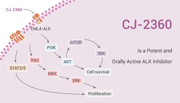 CJ 2360 is a Potent and Orally Active ALK Inhibitor 2020 01 11 - CJ-2360 is a Potent and Orally Active ALK Inhibitor