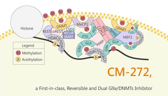 CM 272 a First in class Reversible and Dual G9a DNMTs Inhibitor 2020 03 21 - CM-272, a First-in-class, Reversible and Dual G9a/DNMTs Inhibitor