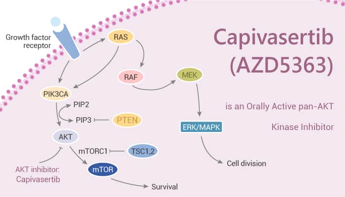 Capivasertib AZD5363 is an Orally Active pan AKT Kinase Inhibitor 2021 07 02 1 - Capivasertib (AZD5363) is an Orally Active pan-AKT Kinase Inhibitor