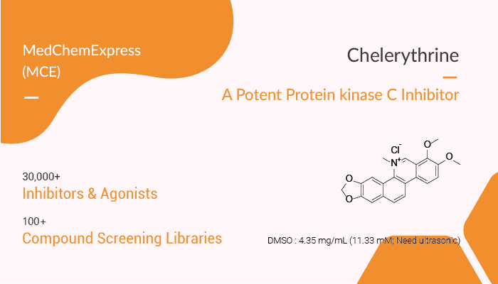 Chelerythrine is a Potent Protein kinase Inhibitor 2022 03 17 - Chelerythrine is a Potent Protein kinase C Inhibitor