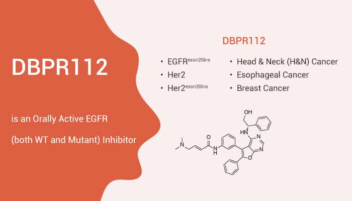 DBPR112 is an Orally Active EGFR both WT and Mutant Inhibitor 2021 03 24 - DBPR112 is an Orally Active EGFR (both WT and Mutant) Inhibitor