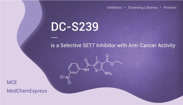 DC S239 is A Set7 Inhibitor 2022 0827 - DC-S239 is a Selective SET7 Inhibitor With Anti-Cancer Activity