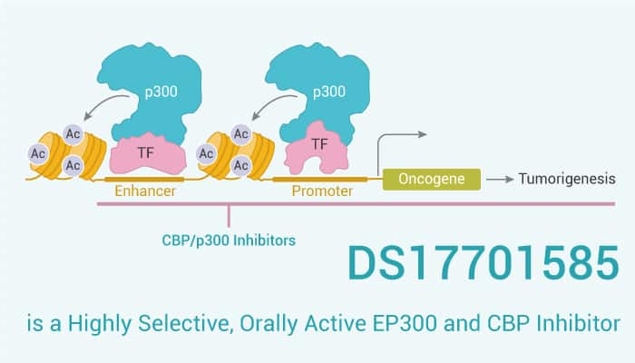 DS17701585 is An EP300 Inhibitor 2022 0623 - DS17701585 is a Highly Selective, Orally Active EP300 and CBP Inhibitor