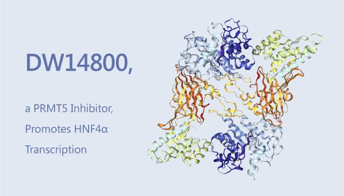 DW14800 a PRMT Inhibitor Promotes HNFα Transcription 2019 08 04 - DW14800, a PRMT5 Inhibitor, Promotes HNF4α Transcription.
