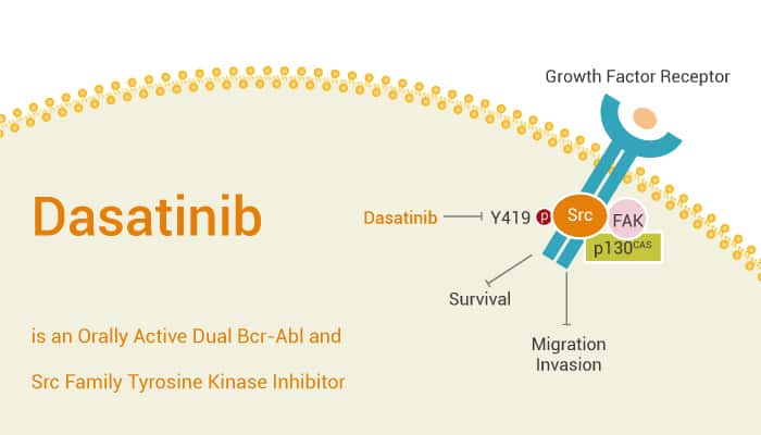 Dasatinib is an Orally Active Dual Bcr Abl and Src Family Tyrosine Kinase Inhibitor 2021 04 17 - Dasatinib is an Orally Active Dual Bcr-Abl and Src Family Tyrosine Kinase Inhibitor