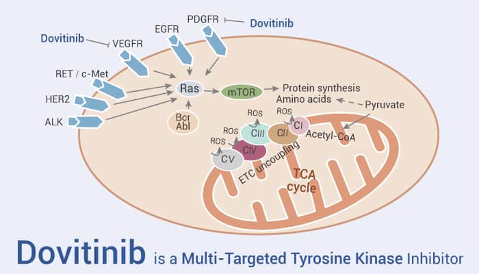 Dovitinib is a Multi Targeted Tyrosine Kinase Inhibitor 2022 01 11 - Dovitinib is a Multi-Targeted Tyrosine Kinase Inhibitor