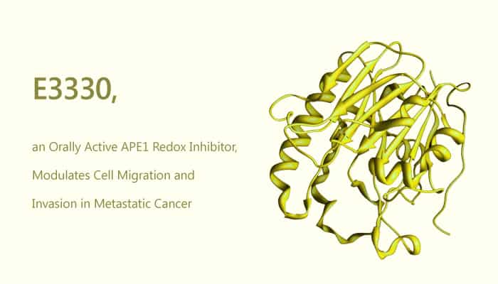 E3330 an APE1 Redox Inhibitor Modulates Cell Migration and Invasion in Metastatic Cancer 2019 09 13 - E3330, an APE1 Redox Inhibitor, Modulates Cell Migration and Invasion in Metastatic Cancer