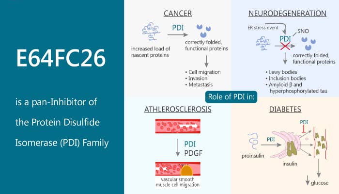 E64FC26 is a pan Inhibitor of the Protein Disulfide Isomerase PDI Family 2020 04 02 - E64FC26 is a pan-Inhibitor of the Protein Disulfide Isomerase (PDI) Family