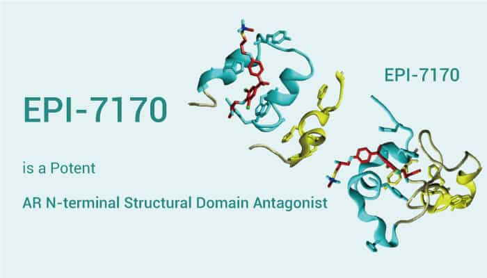 EPI 7170 is An AR N TERMINAL Structural Domain Inhibitor 2022 1008 - EPI-7170 is a Potent AR N-terminal Structural Domain Antagonist