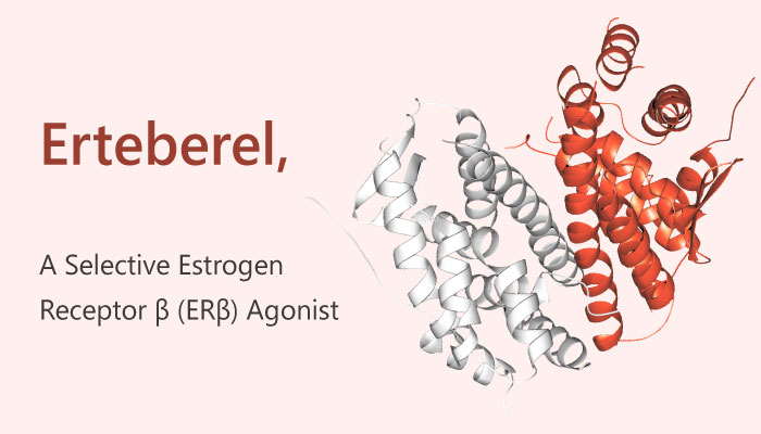 Erteberel ERβ Agonist breast cancer 2019 04 16 - Erteberel is a Selective ERβ Agonist