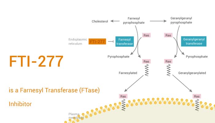 FTI 277 is a Farnesyl Transferase FTase Inhibitor 2021 05 26 - FTI-277 is a Farnesyl Transferase (FTase) Inhibitor