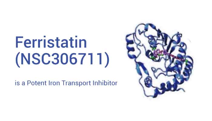 Ferristatin - Ferristatin (NSC306711) is a Potent Iron Transport Inhibitor and Promotes Transferrin Receptor Degradation