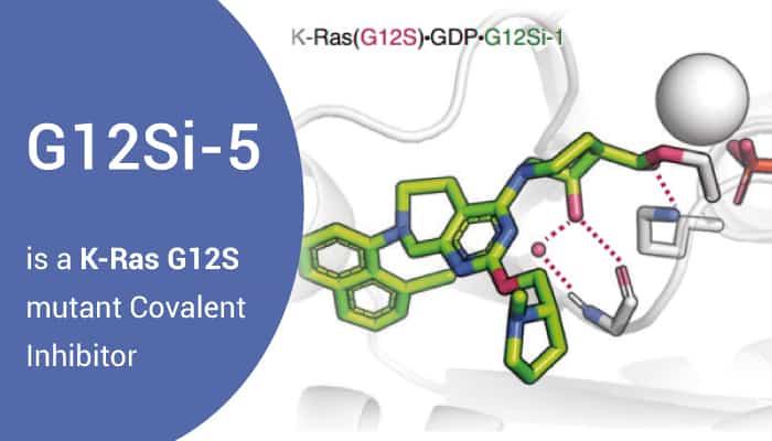 G12Si is a KRAS G12S Inhibitor 2022 0907 - G12Si-5 is a K-Ras G12S Mutant Covalent Inhibitor