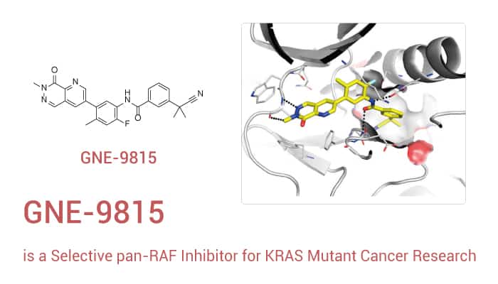 GNE 9815 is An RAF Inhibitor 2022 1024 - GNE-9815 is a highly selective pan-RAF inhibitor, can be used to research KRAS mutant cancers